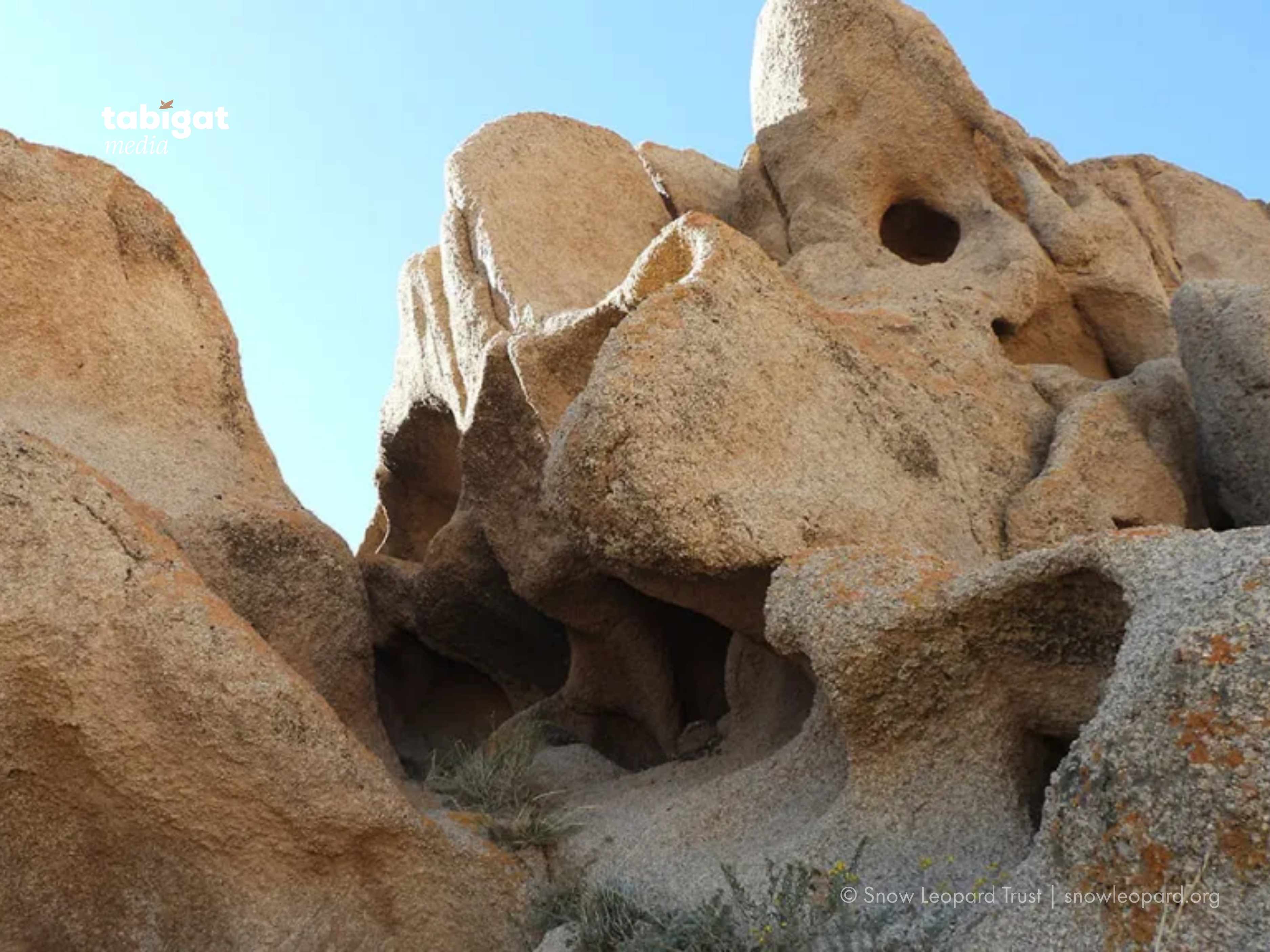 Amberblank порно